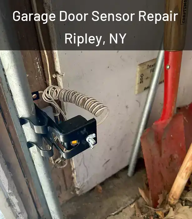  Garage Door Sensor Repair Ripley, NY