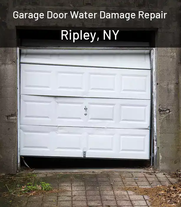  Garage Door Water Damage Repair Ripley, NY