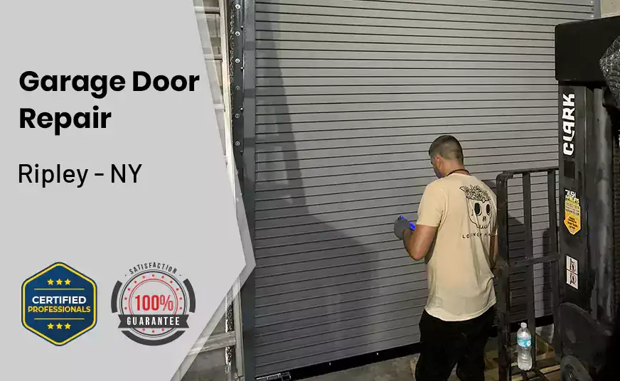 Garage Door Repair Ripley - NY 