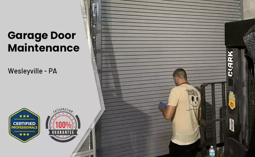 Garage Door Maintenance Wesleyville - PA 